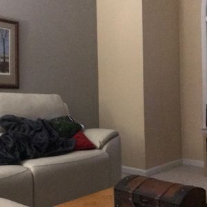 Meet your Posher, Ginger